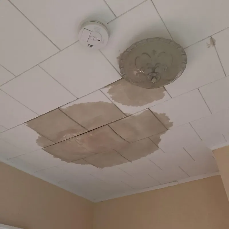 Ceiling Water Damage Repair in Amity Gardens, PA