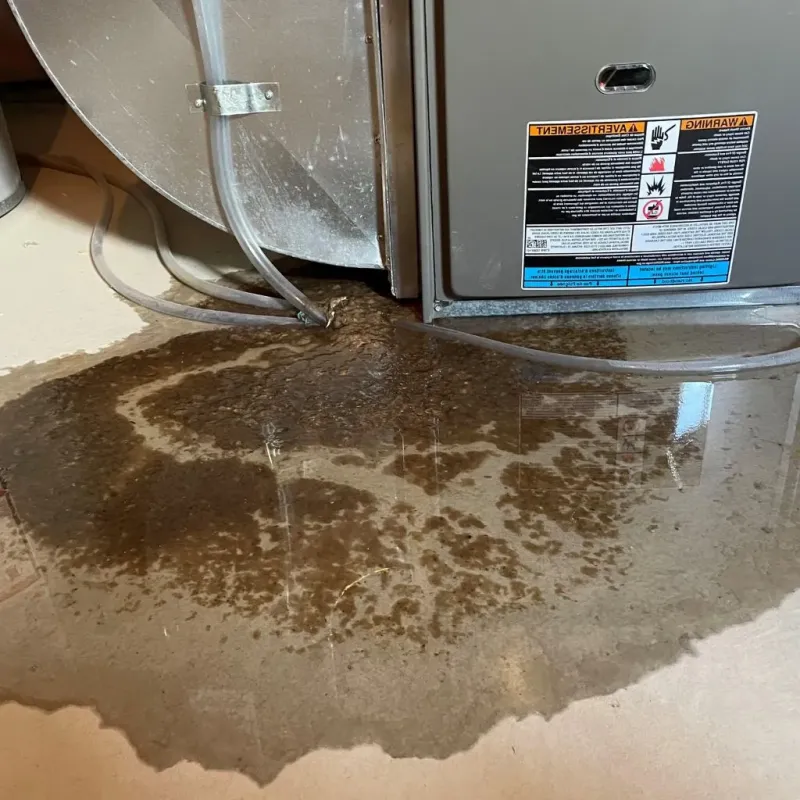 Pipe Burst and Leak Restoration in Amity Gardens, PA